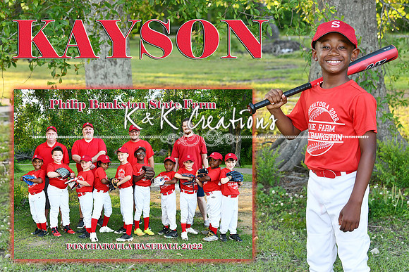 KAYSON WHITE MEMORY MATE