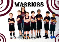 5X7 WARRIORS B7-8 CHANCIE TEAM