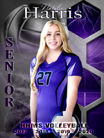 natalie harris banner