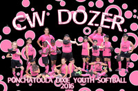 cwdozer team