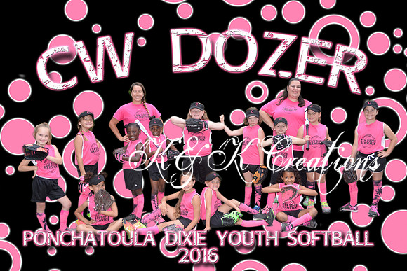 cwdozer team
