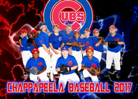 CUBS 9/10 BOYS
