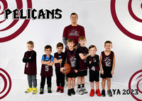 Pelicans B4-6 - Don Wall