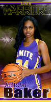 allisha baker banner
