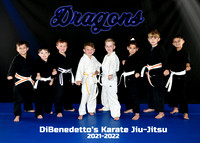 Dragons