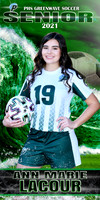 ann marie lacour banner