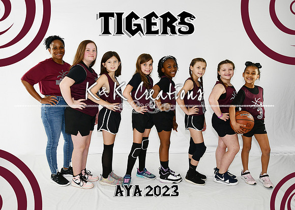 5X7 TIGERS G7-8 ANITA PALMER TEAM