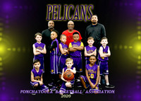 5X7 7-8 BOYS PELICANS TEAM