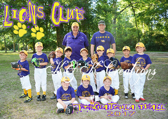 5X7 PONCHATOULA LIONS CLUB TBALL TEAM