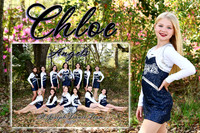 chloe motichek memory mate