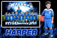 harper_navarra_1