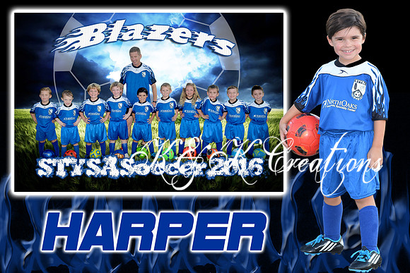 harper_navarra_1