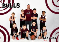 5X7 BULLS B7-8 SETH TEAM