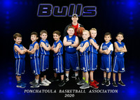 5X7 7-8 BULLS TEAM
