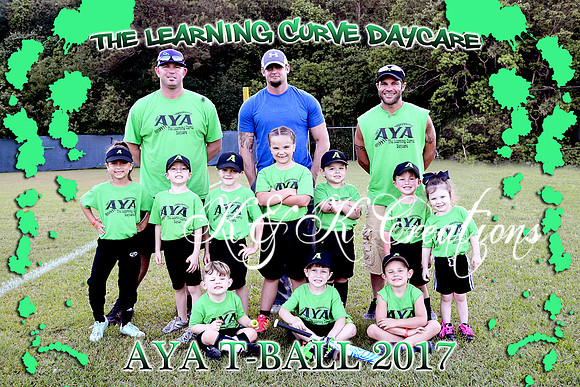 the learning curve team