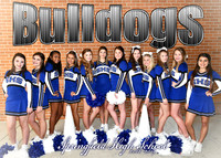 Springfield High School Cheer 2018-2019