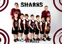 5X7 SHARKS B 4-6 HALEY TEAM