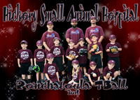 HICKORY SMALL ANIMAL HOSPITAL