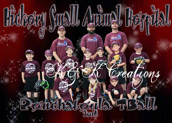 5x7 hickory small animal hospital team tball