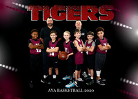 5x7 boys 9-10 Team 6 Tigers
