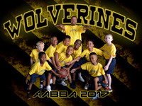 Wolverines