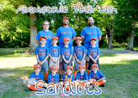 the sandlots team