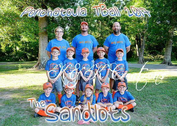 the sandlots team