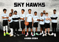 SKY HAWKS