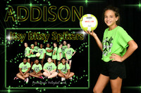 ADDISON LEDET MEMORY MATE
