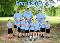 5X7 3-4TBALL TEAM 1 GREY GOOSES