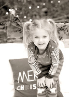 KRS_2009_bw