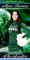 alyssa freeman  BANNER
