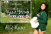 ally maree pena memory mate