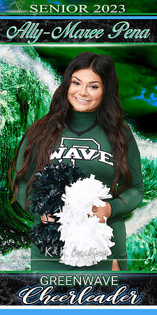 ally maree pena  BANNER