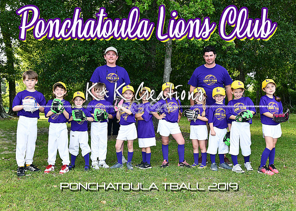 5x7 TBall Lions CLub Team