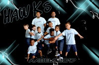 8X12 HAWKS TEAM AABBA 2017