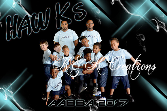 8X12 HAWKS TEAM AABBA 2017