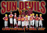 Sun Devils TBall