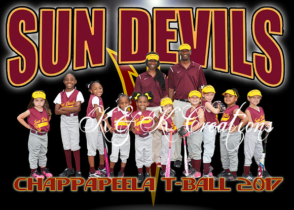 5x7 sun devils tball team