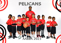 PELICANS