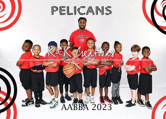 5X7 PELICANS TEAM