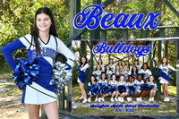 beaux davis memory mate