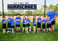 HURRICANES