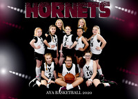 Girls 9-10 Team 1 Hornets