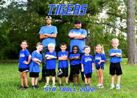 5X7 BLUE TIGERS TEAM