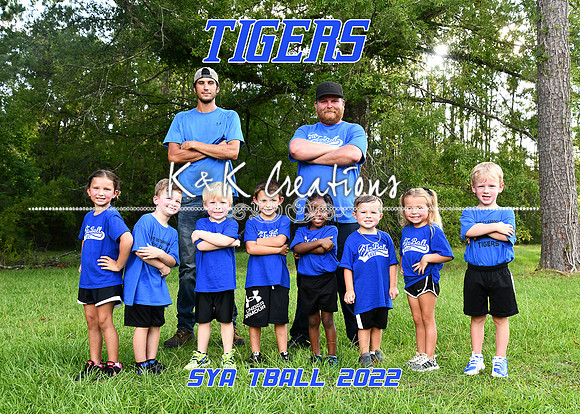 5X7 BLUE TIGERS TEAM