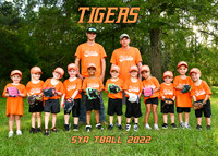 ORANGE TIGERS
