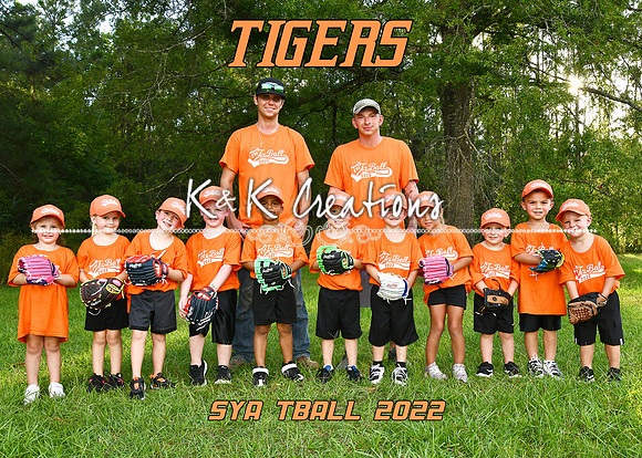 5X7 ORANGE TIGERS TEAM