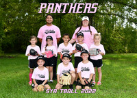 PINK PANTHERS