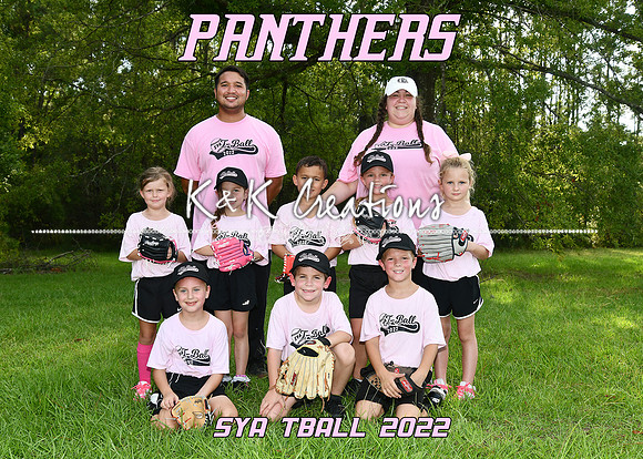 5X7 PINK PANTHERS TEAM